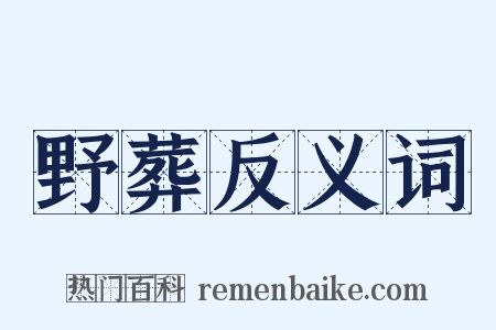 野葬反义词是什么意思的图片